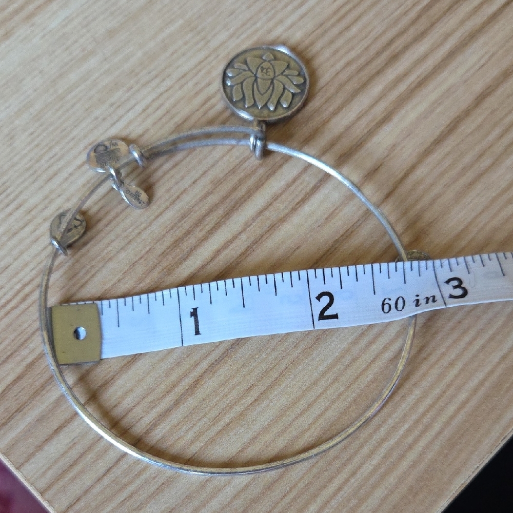 Alex and Ani Silver Lotus 2012 Charm Bangle Bracelet - Picture 7 of 8